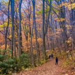 family hiking in fall forest