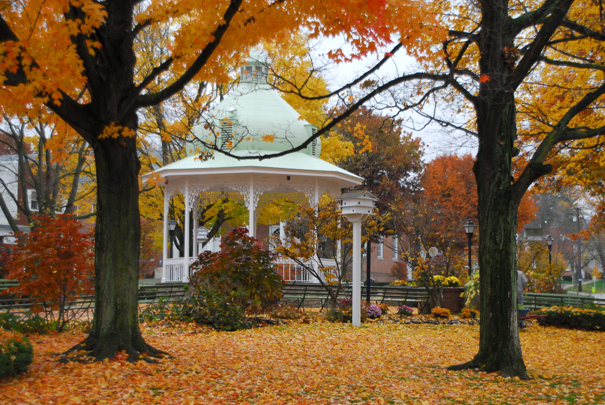 LHVB Ligonier Diamond bandstand in fall foliage MATPRA