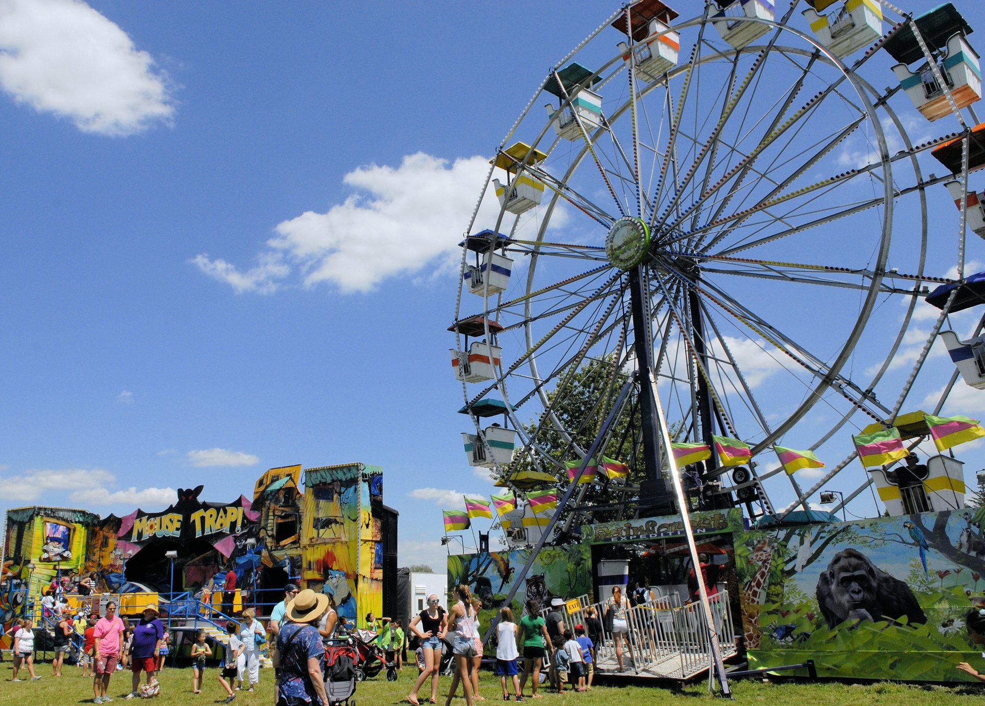 Fairfax County 4-H Fair and Festival