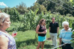 people standing in vineyard with wine