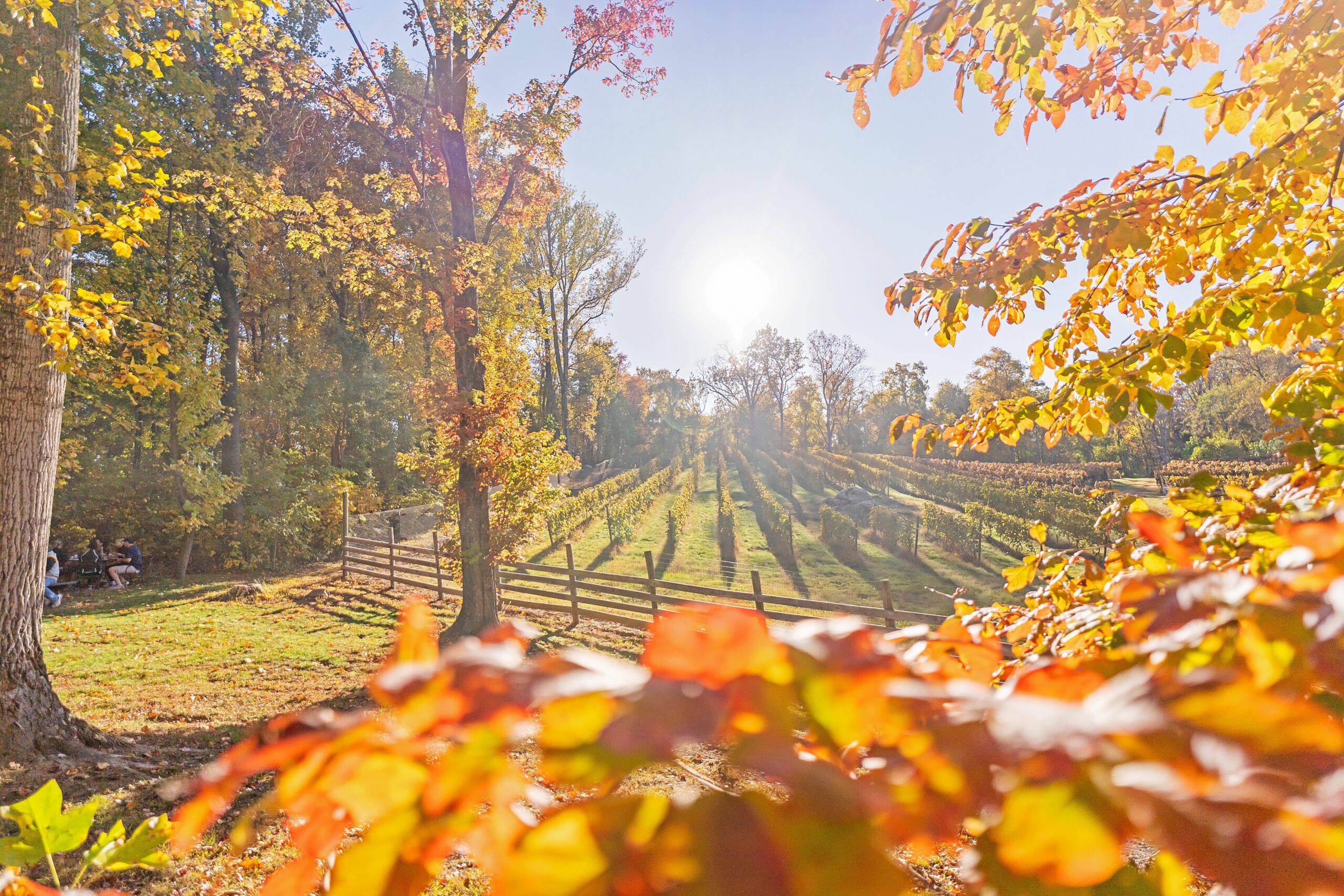 Fauquier County, Virginia