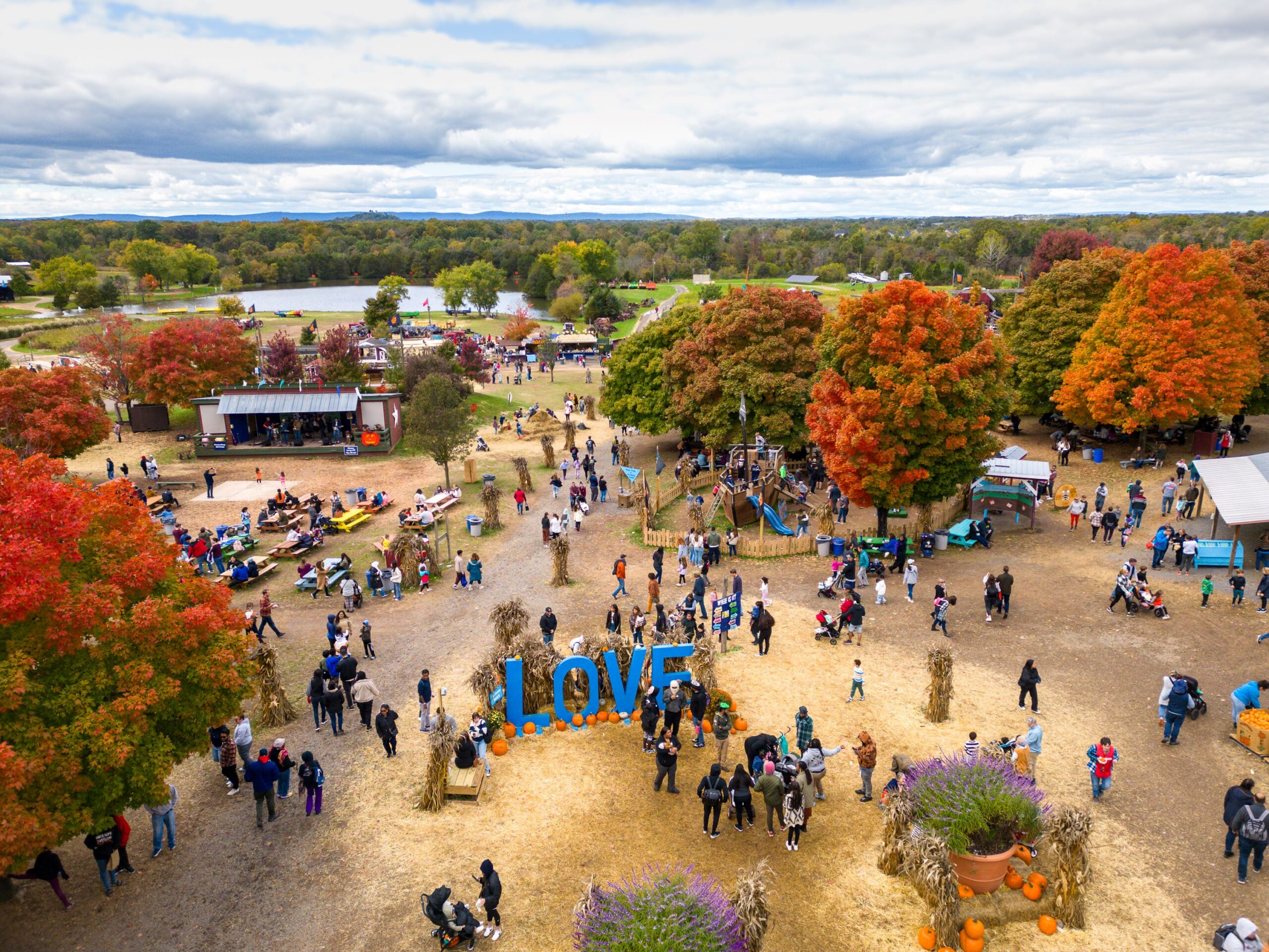 Best Fall Festivals in Fairfax County, Virginia