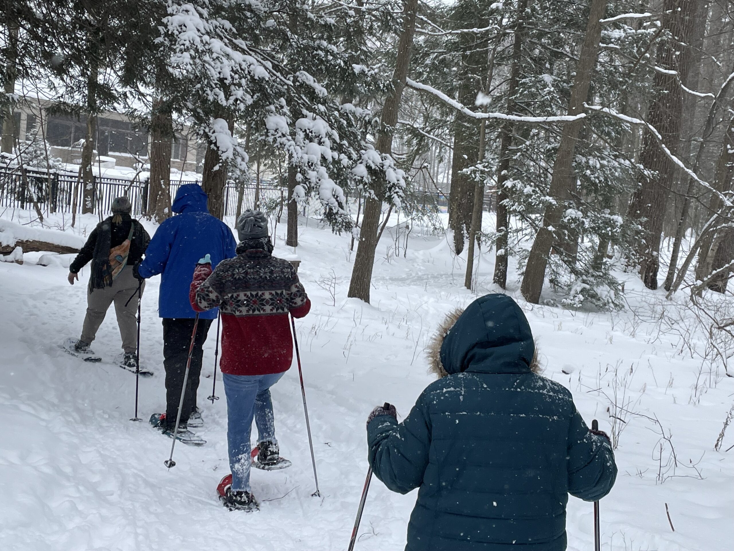 Winter, Walk This Way: A Guide to Snowshoeing in Erie, PA