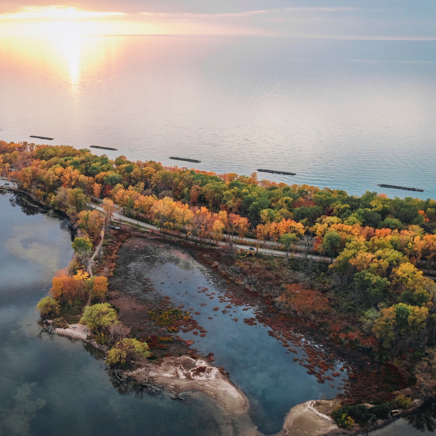 The Best Places to Enjoy Fall Foliage in Erie County