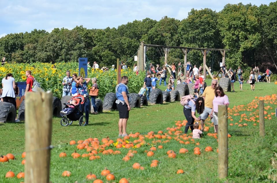 Freedom Farms Fall Festival